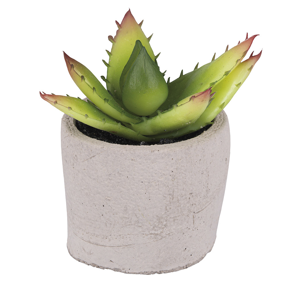 Pianta grassa artificiale in vaso cemento h13 - FloralGarden